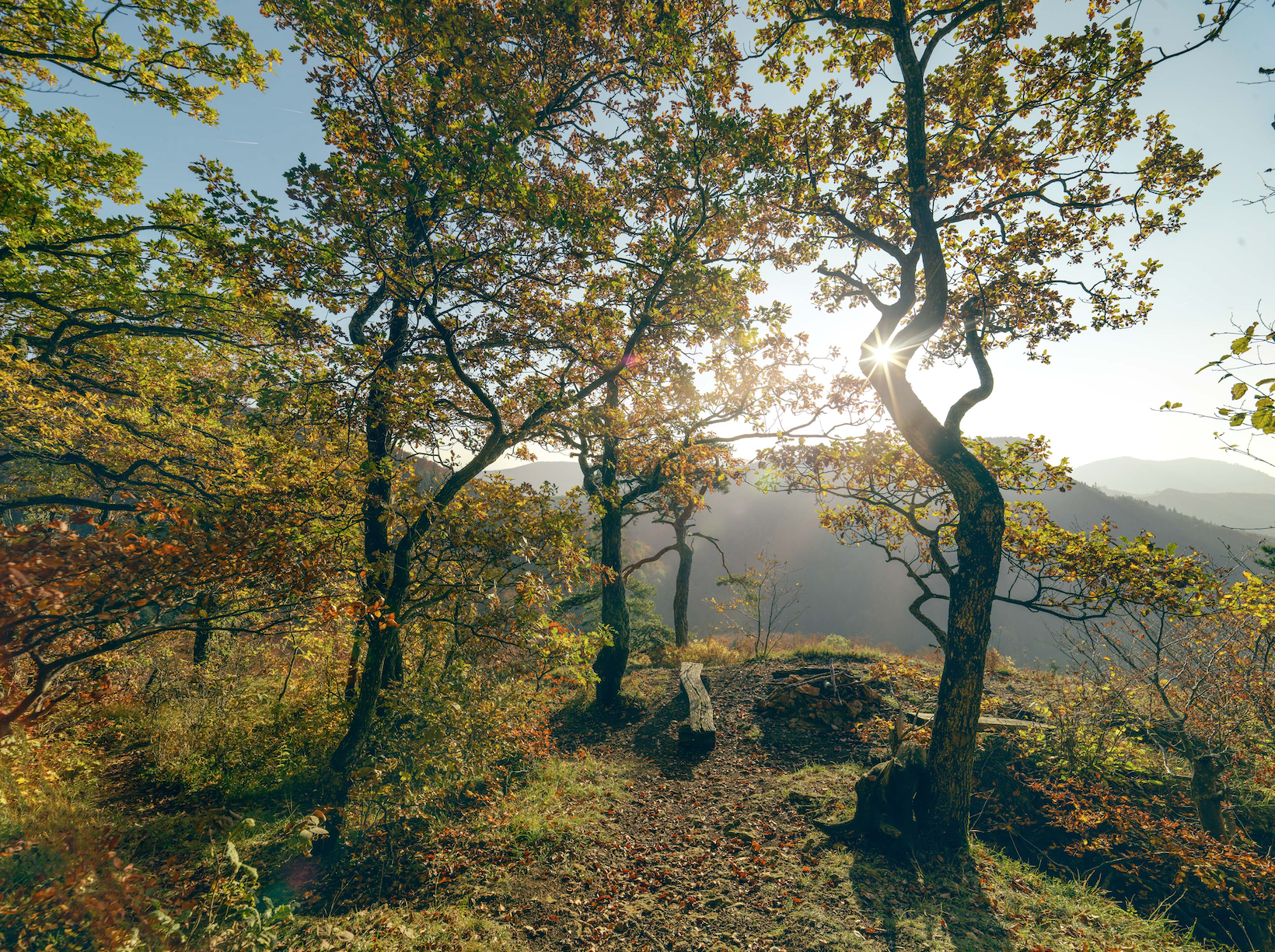 Den Aargauer Herbst geniessen